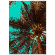 Постер "Palm"