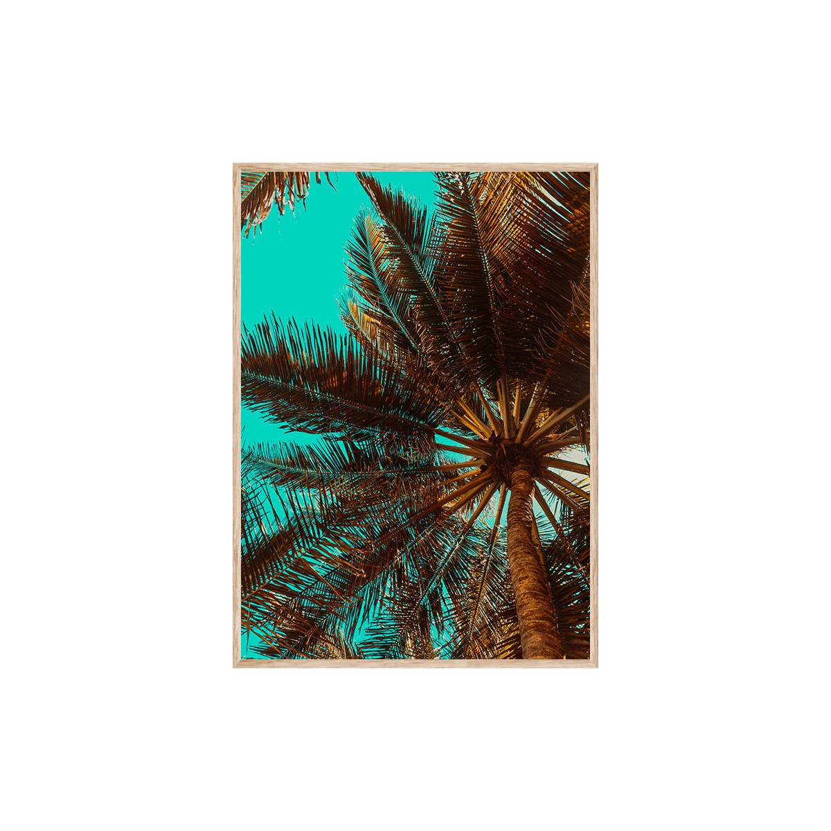 Постер в рамці "Palm"