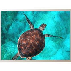 Комплект постеров "Ривьера"