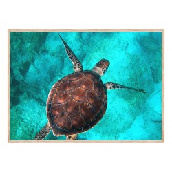 Комплект постеров в рамках "Ривьера"