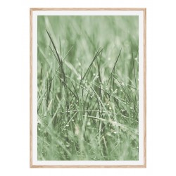 Постер "Green grass"