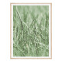 Постер "Green grass"