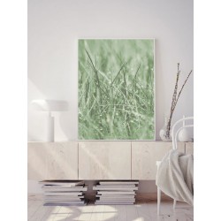 Постер "Green grass"