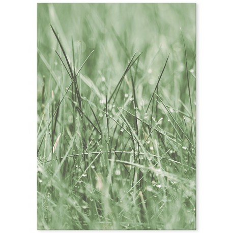 Постер "Green grass"