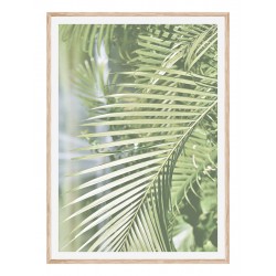 Постер "Dipsis"