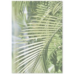 Постер "Dipsis"