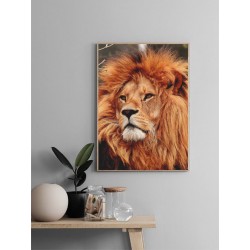 Постер в рамке "Лев"