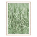 Постер в рамке "Green grass"