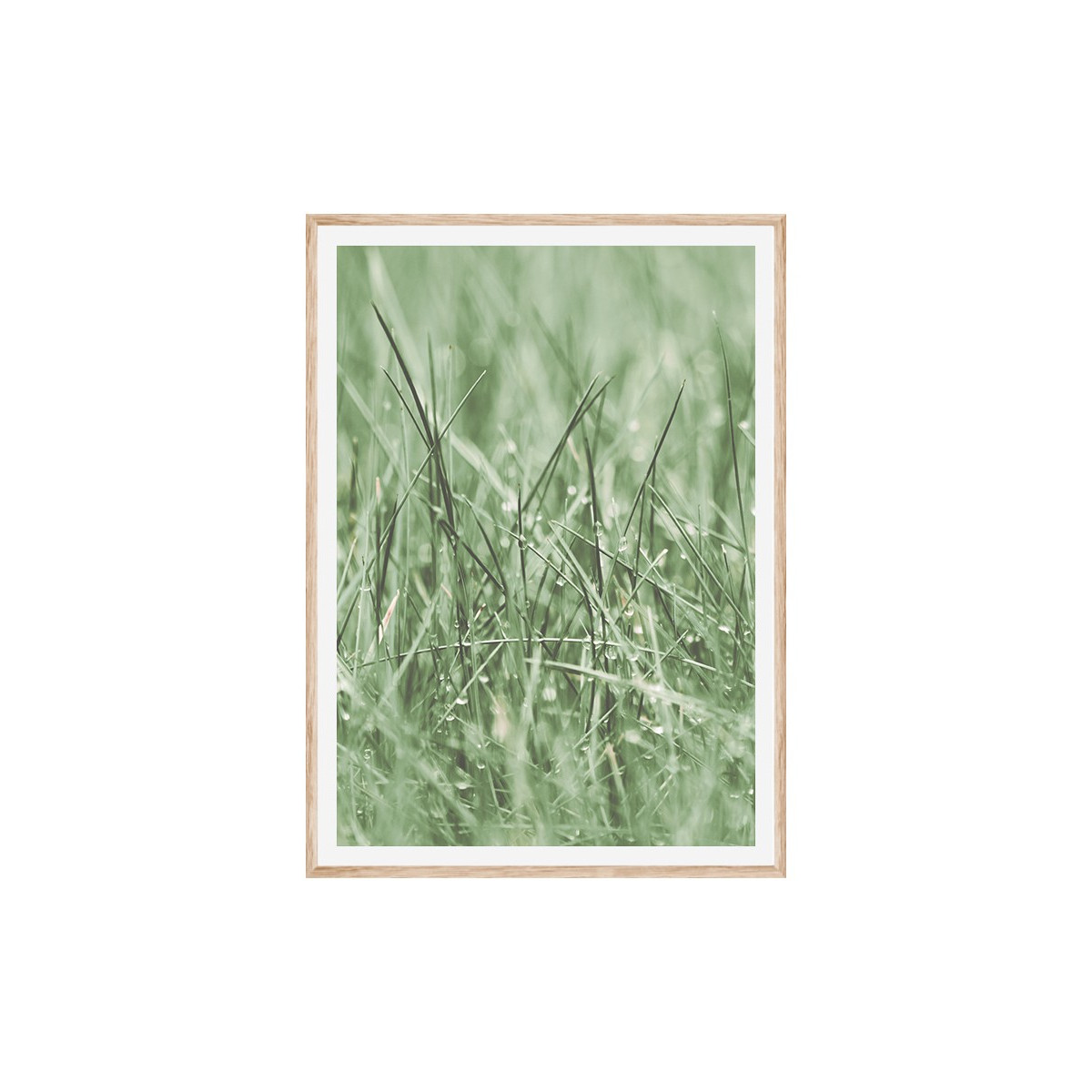 Постер в рамке "Green grass"