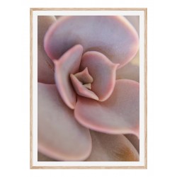 Постер "Tropic"