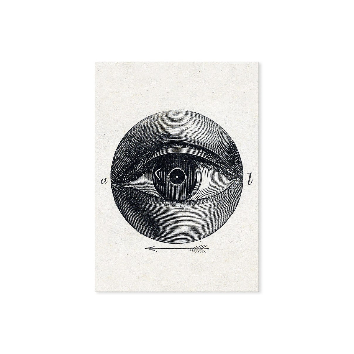 Постер "Eye Vintage Drawing"