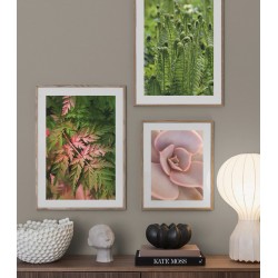 Постер в рамці "Папороть"