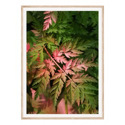 Постер в рамці "Leaves"