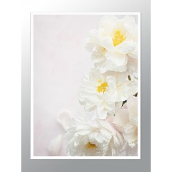 Постер в рамке "Пион"