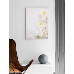 Постер в рамці "Півонія"