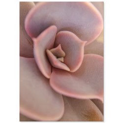 Комплект постерів "Tropic"