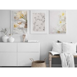 Комплект постерів в рамках "Amour"