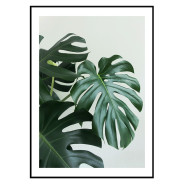 Постер "Monstera"