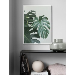 Постер "Monstera"