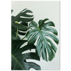 Постер "Monstera"