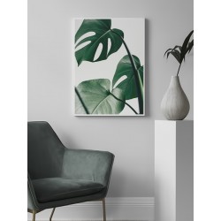 Постер "Monstera"