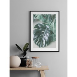 Постер "Monstera"