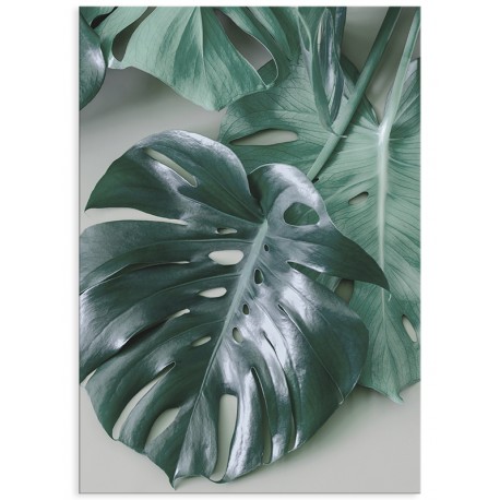 Постер "Monstera"