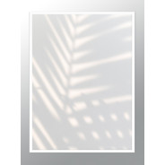 Постер "Palm"
