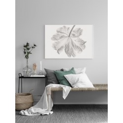 Постер "Тюльпан"