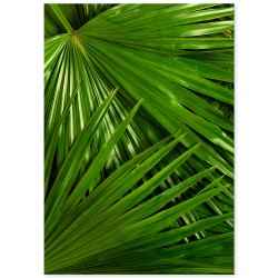 Комплект постеров "Greenery"