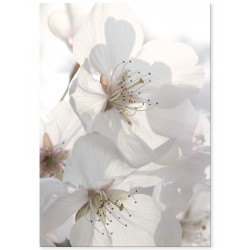 Комплект постеров "White cream"