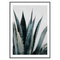 Комплект постеров в рамках "Palm"