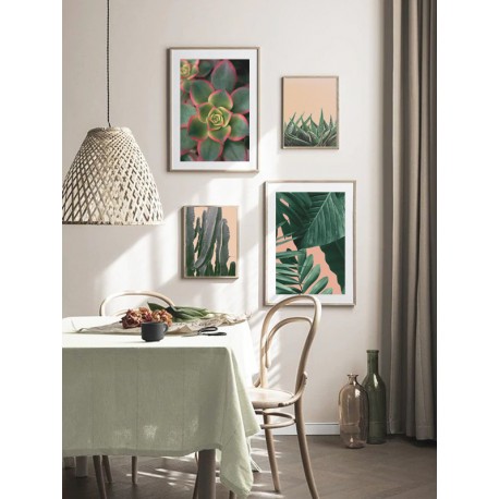 Постер "Succulents"