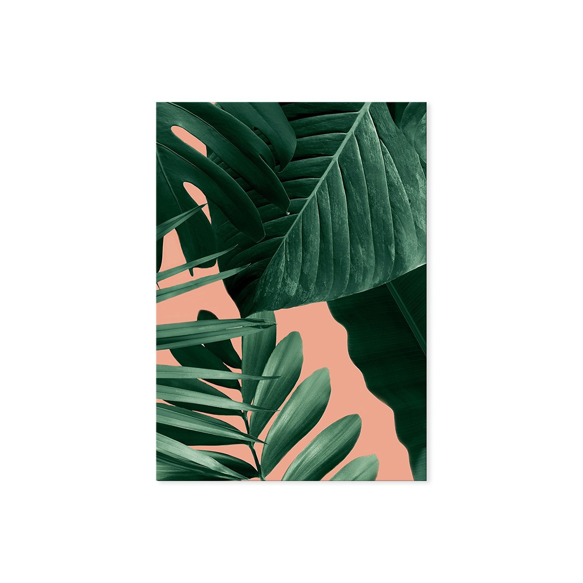 Постер "Green Leaf Aesthetic"