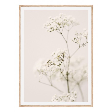 Постер "Meadow flower"