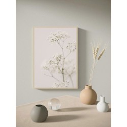 Постер "Meadow flower"