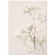 Постер "Meadow flower"
