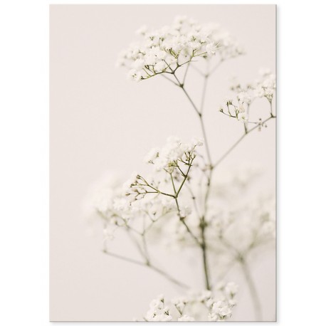 Постер "Meadow flower"