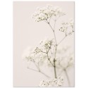 Постер "Meadow flower"