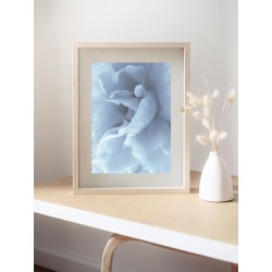 Постер "Peony"