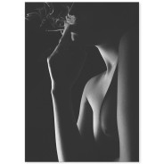 Постер "Silhouette"