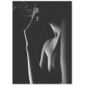 Постер "Silhouette"