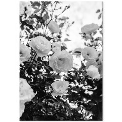 Комплект постерів "You me"