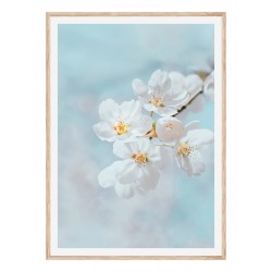 Комплект постерів в рамках "Monique"