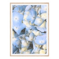 Комплект постеров в рамках "Monique"