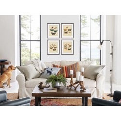 Комплект постерів в рамках "Botany. Butterflies"