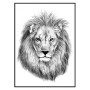 Постер "Lion"