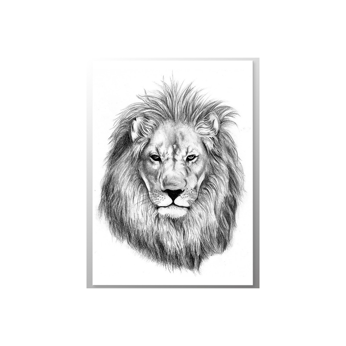 Постер "Lion"
