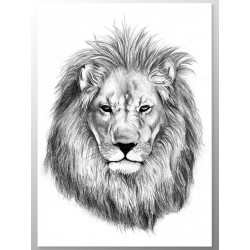 Комплект постерів "Leon"