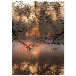 Комплект постерів "Driftwood"